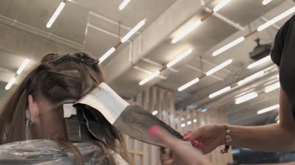 스타일리스트는 미용실에서 여자의 머리를 만지는 클로즈업 — 비디오