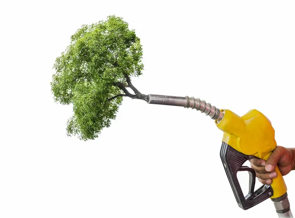 Green energy concept,Holding a fuel nozzle against tree white ba — Stock Photo, Image