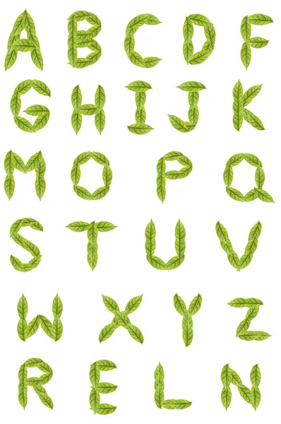 Öko-Alphabet aus den grünen Blättern. isoliert auf weiß. — Stockfoto