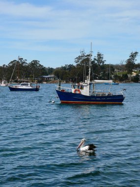 Tazmanya 'daki Aziz Helens' te balıkçı tekneleri