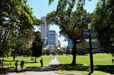 Sydney, Avustralya 'daki The Domain Park manzarası