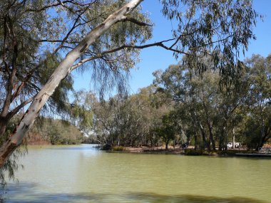 Batı Yeni Güney Galler, Avustralya 'daki Bogan Nehri manzarası
