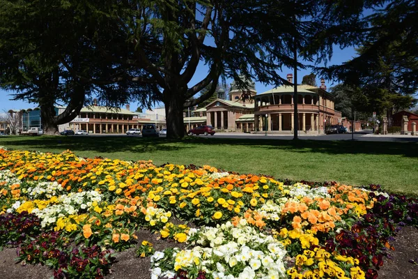 Bathurst, Avustralya 'daki Machattie Park manzarası