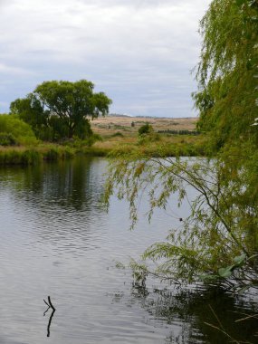 Avustralya 'da Dalgety' deki Karlı Nehir manzarası
