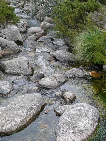 Stream Snowy Mountains Australia — Stock Photo, Image