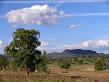 Avustralya, Yeni Güney Galler 'de Rylestone yakınlarındaki bir kırsal manzara