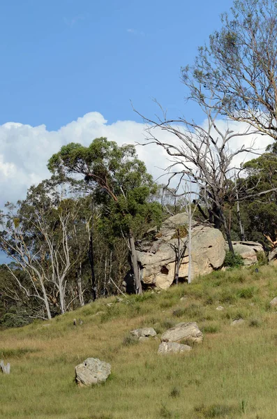 Μια Βραχώδης Προεξοχή Κοντά Στο Rylestone Στο Nsw Αυστραλία — Φωτογραφία Αρχείου