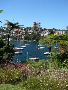 Cremorne Point 'ten Sydney Limanı manzarası