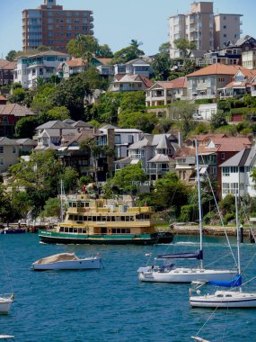 Cremorne Point yakınlarındaki Sydney Limanı 'nda bir feribot.
