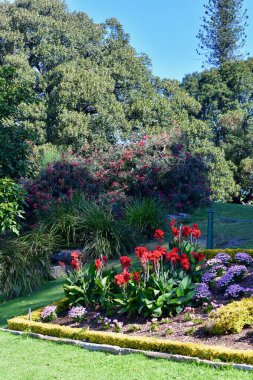 Sydney Limanı kıyısında bir bahçe yatağı Royal Botanic Gardens yakınlarında.