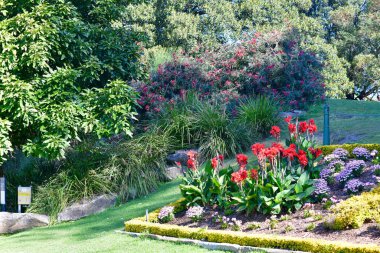 Sydney Limanı kıyısında bir bahçe yatağı Royal Botanic Gardens yakınlarında.