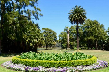 Sydney, Avustralya 'daki Centennial Park' ın manzarası