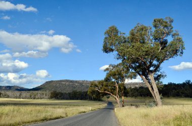 Güneşli bir günde bir köy yolu
