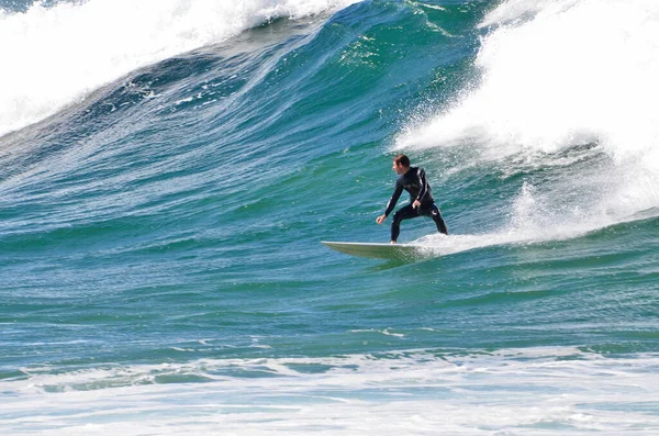 Surfeur Action Chez Dee Why Beach Sydney Australie — Photo