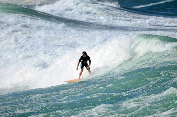 Surfeur Action Chez Dee Why Beach Sydney Australie — Photo