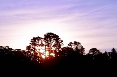 Wentworth Falls Gölü 'nde gün batımı