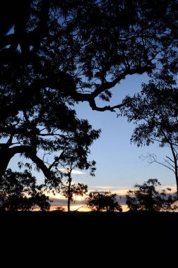 Günbatımında, Avustralya, Sydney 'nin batısındaki Mavi Dağlar' da Warrimoo Gözcüsü.