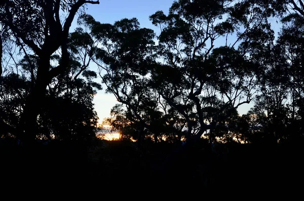 Pôr Sol Warrimoo Lookout Nas Montanhas Azuis Oeste Sydney Austrália — Fotografia de Stock