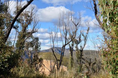 Hanging Rock 'tan Grose Valley' e bir manzara