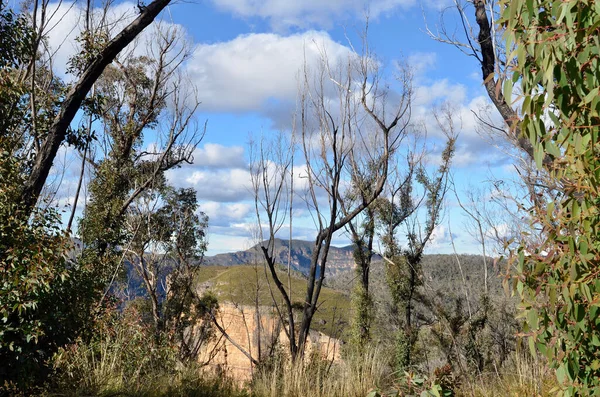 Grose Valley Från Hanging Rock — Stockfoto