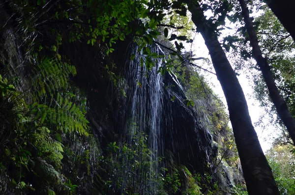 Een Waterval Water Nymphs Dell Blauwe Bergen Van Australië — Stockfoto