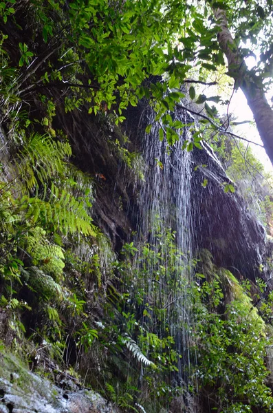 Ett Vattenfall Water Nymphs Dell Blå Bergen Australien — Stockfoto