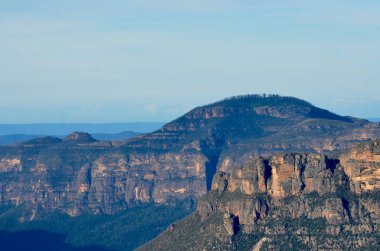 Avustralya 'nın Mavi Dağları' ndaki George Phillips kanyonu manzaralı.