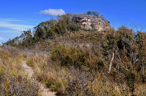 Avustralya Nın Mavi Dağları Ndaki Lockley Sütunları Nın Yakınındaki Yürüyüş — Stok fotoğraf