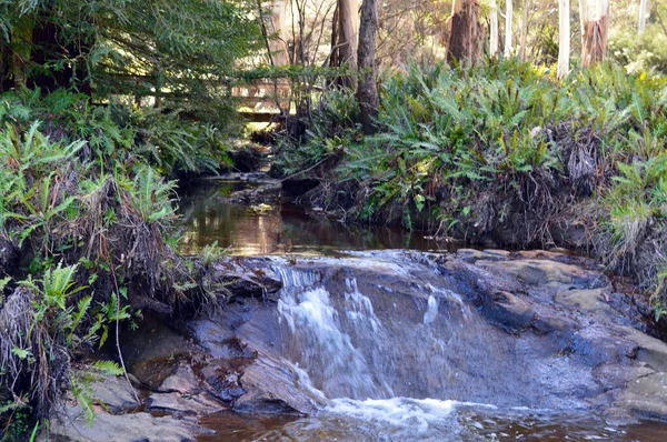 Avustralya 'nın Mavi Dağları' ndaki Katoomba Şelaleleri manzarası