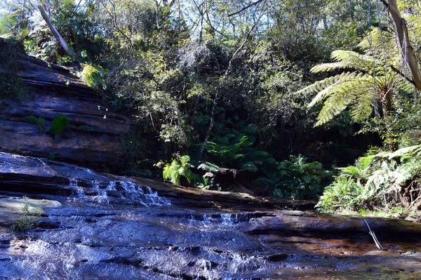 Una Vista Delle Cascate Katoomba Nelle Montagne Blu Dell Australia — Foto Stock