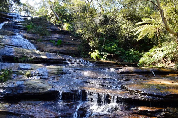 Blick Auf Die Katoomba Kaskaden Den Blue Mountains Australiens — Stockfoto