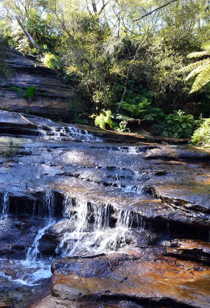 Över Katoomba Kaskader Blå Bergen Australien — Stockfoto