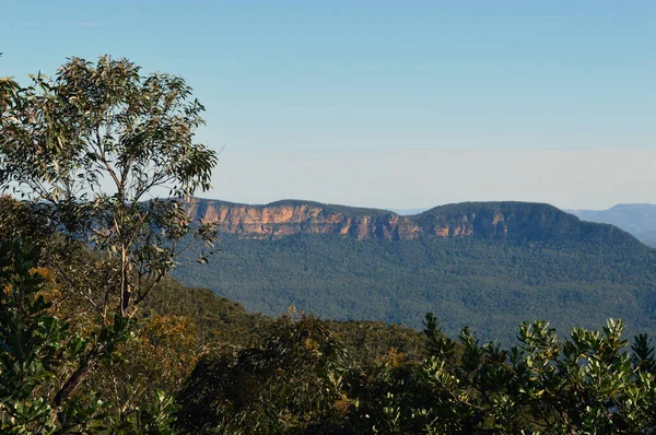 View Jamison Valley Blue Mountains Australia — Stock Photo, Image