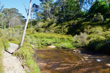 Parktaki nehrin güzel manzarası