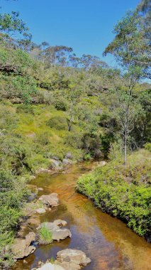 Ormanın ortasında kayalar ve ağaçlarla birlikte nehrin dikey görüntüsü.