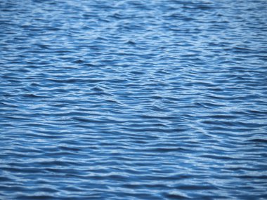 Nehrin mavi yüzeyinde küçük bir dalga.