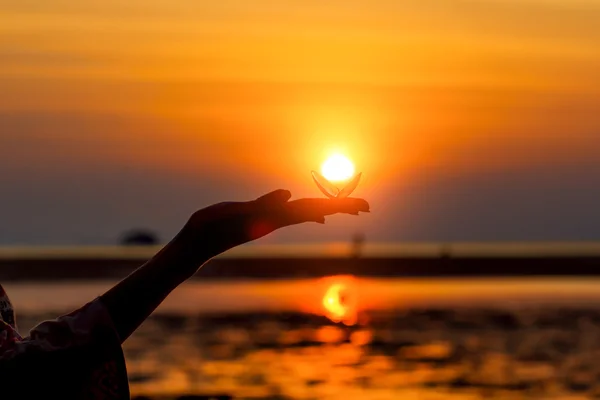 Silhouette der Hand einer Frau, die Muschel gegen das Sett hält — Stockfoto