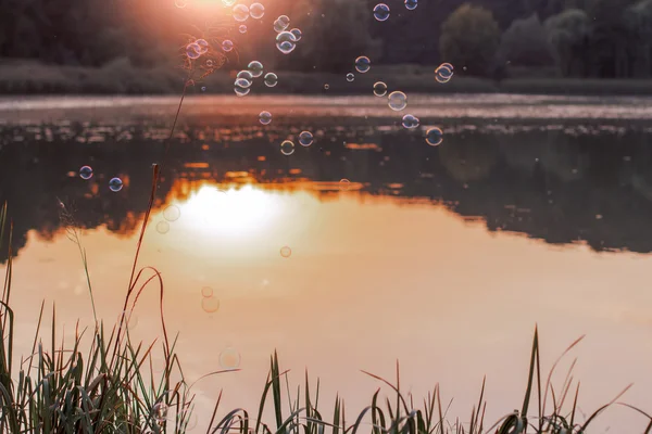 Příroda v blízkosti jezera. plovoucí mýdlové bubliny. Podzimní slunce ti Stock Obrázky