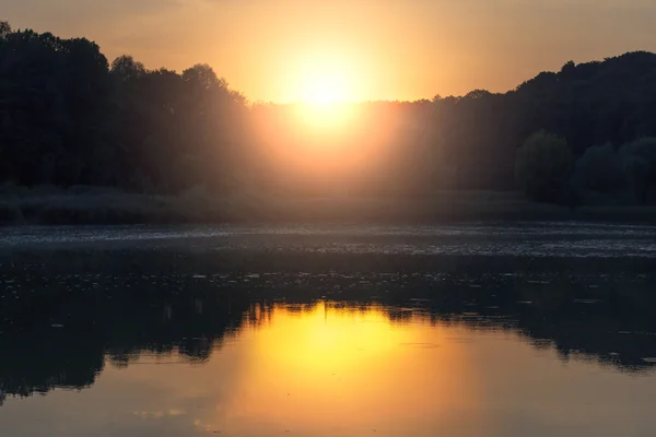 Pôr do sol num lago perto da floresta. Pôr do sol sobre árvores e ref — Fotografia de Stock