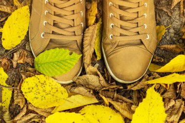 düşen yapraklar üzerinde iki ayakkabı. sonbahar arka plan