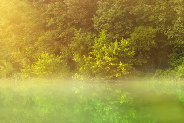 sonbahar lake Park. doğa arka plan