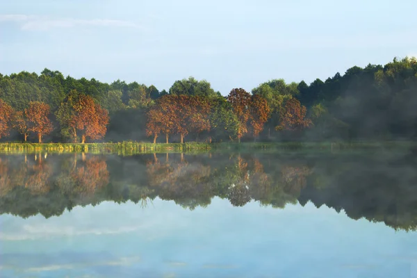 Lake en bomen. natuur vroege ochtend schot — Stockfoto