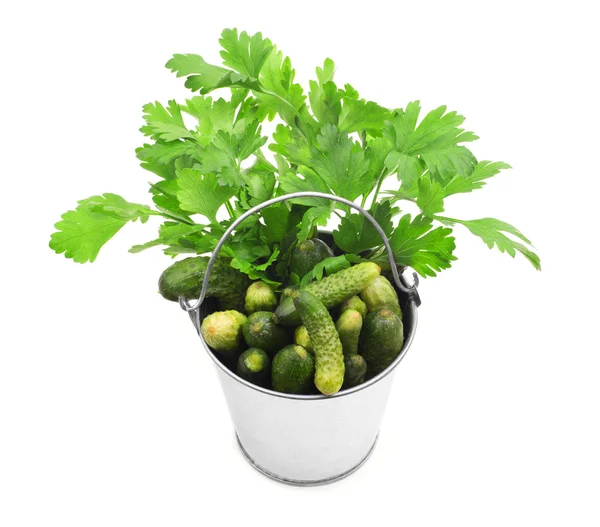 Cucumbers in a bucket with fresh herbs isolated on white backgro — Stock Photo, Image