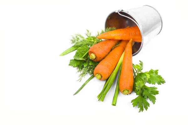 Carrot fresh and raw in a bucket with green herbs isolated on wh — Stock Photo, Image