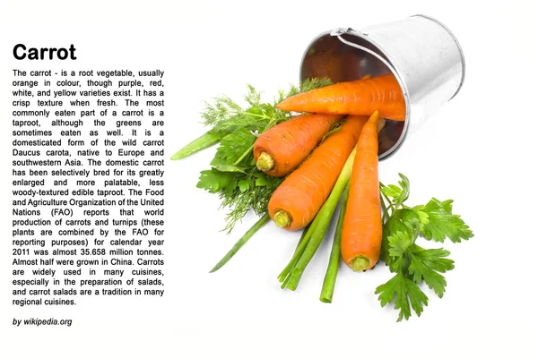 Carrot fresh and raw in a bucket with green herbs isolated on wh — Stock Photo, Image