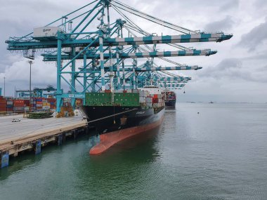 Tanjung Pelepas, Malezya - 08 Ocak - Tanjung Pelepas terminalindeki konteynır gemisi.