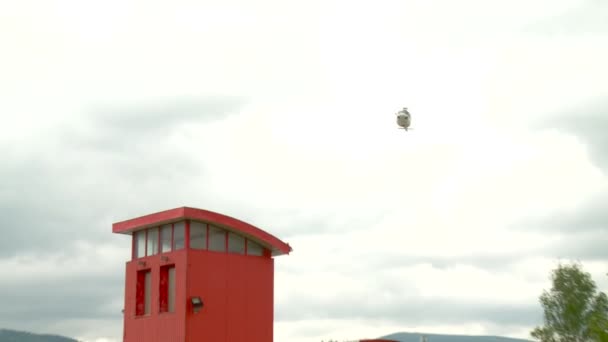 Helikopter flyger och landar i landskapet. — Stockvideo