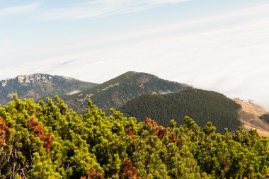 Yüksek Tatras dağlarda