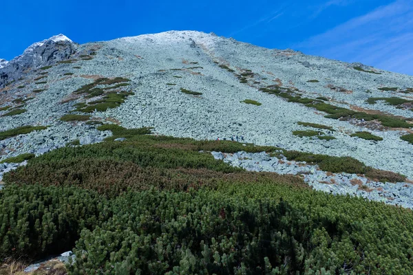 Yüksek Tatras dağlarda — Stok fotoğraf