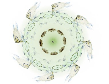 Temel parçacıklar serisi. Nükleer fizik ve grafik tasarımı konularında soyut fraktal formların etkileşimi.